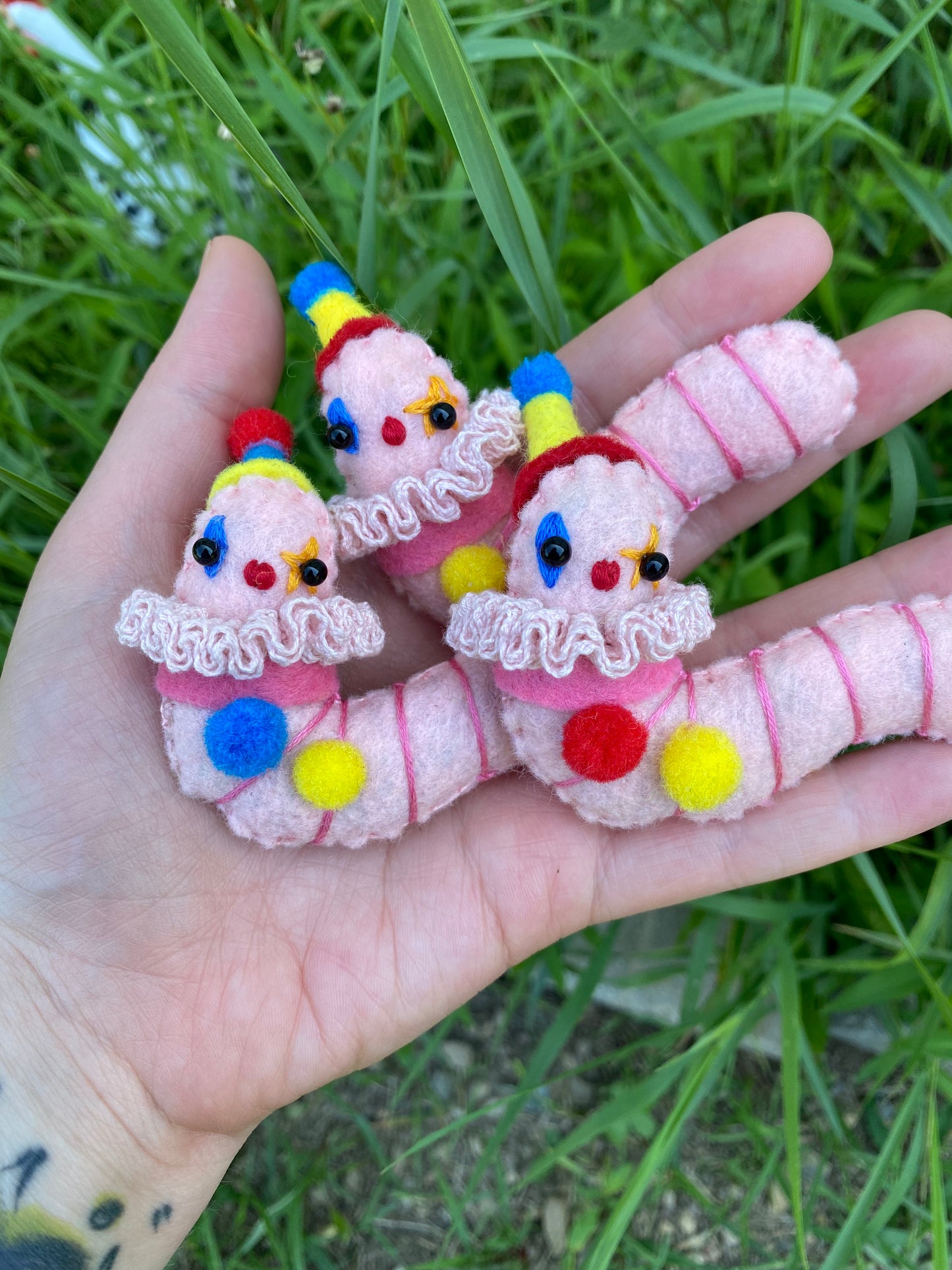 *mystery* CLOWN WORM (primary)