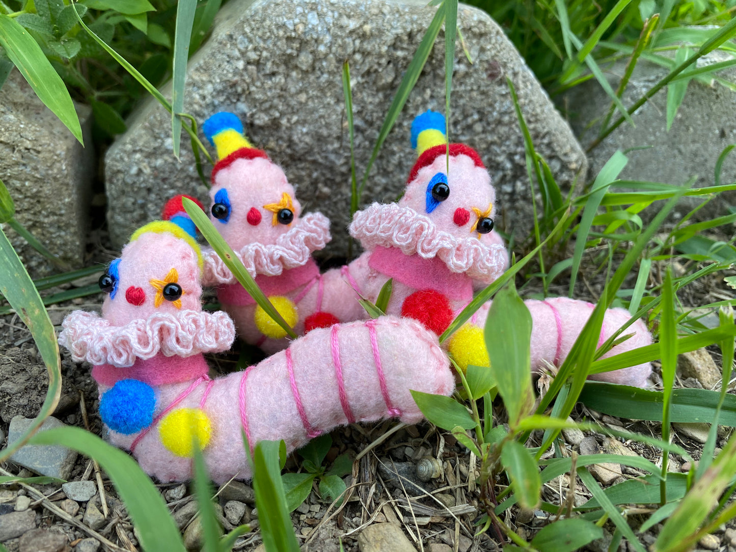 *mystery* CLOWN WORM (primary)