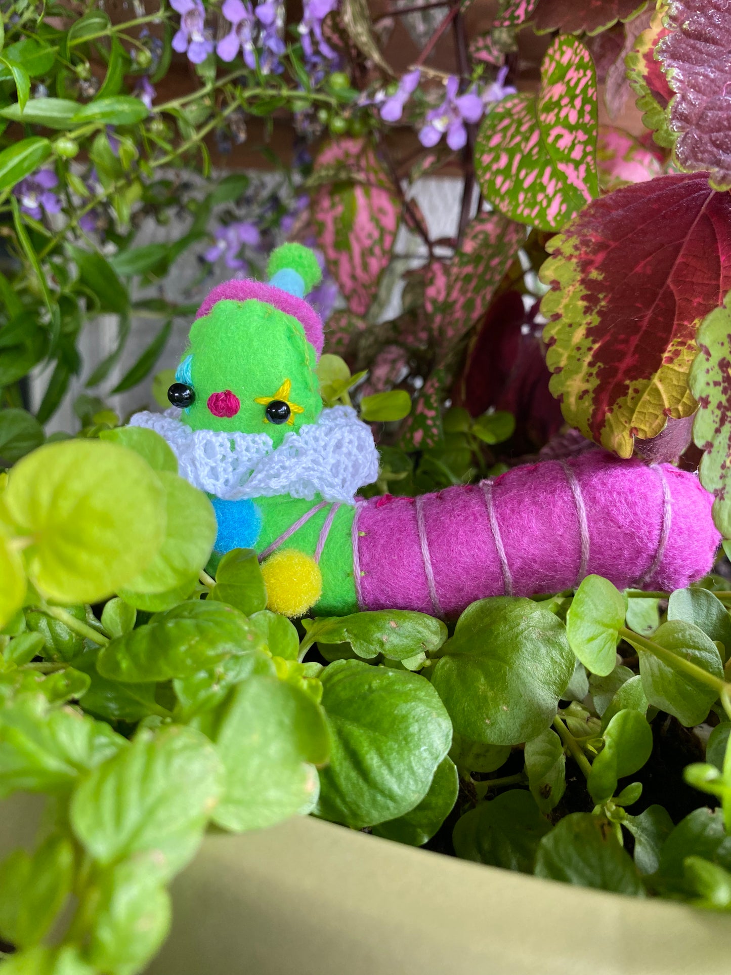 GUMMY WORM POCKET CLOWN (green/purple)