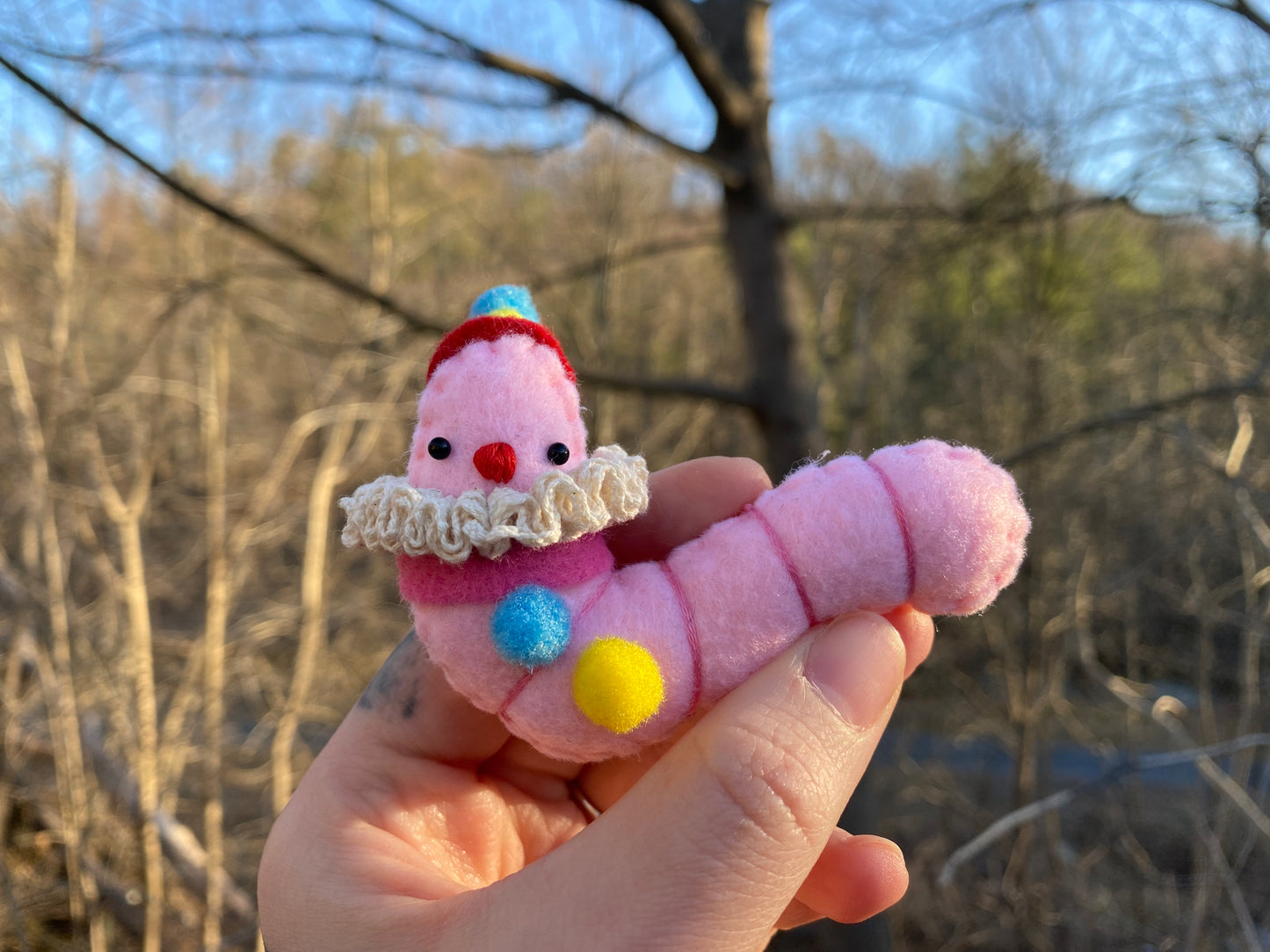 CLOWN WORM