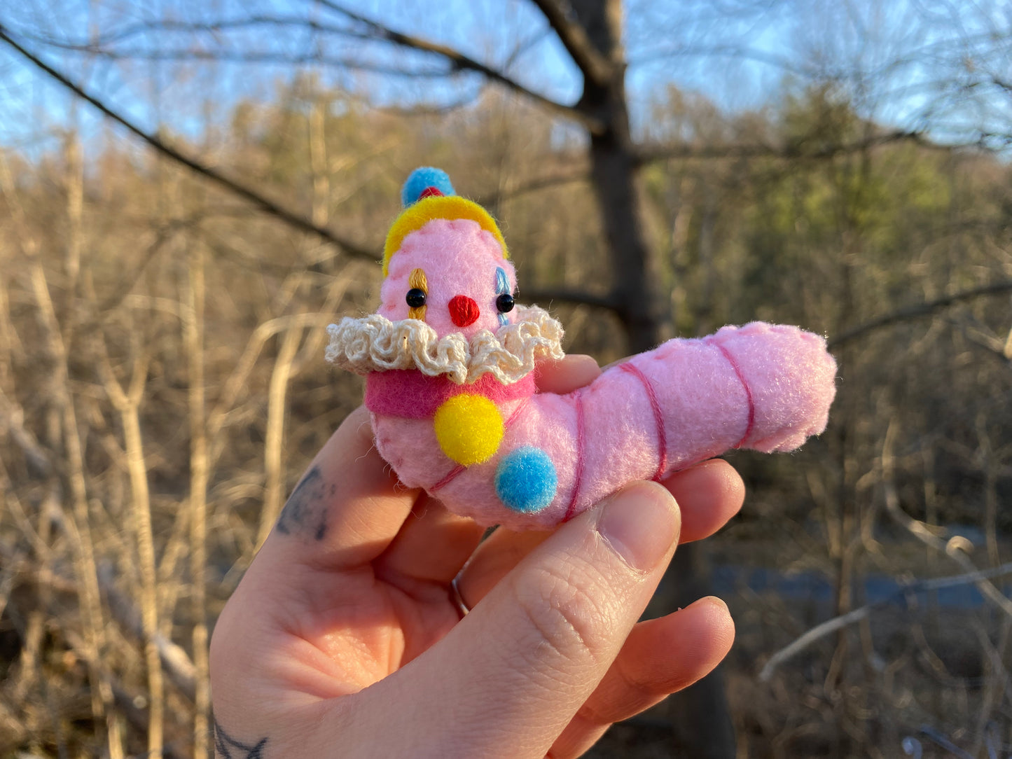 CLOWN WORM