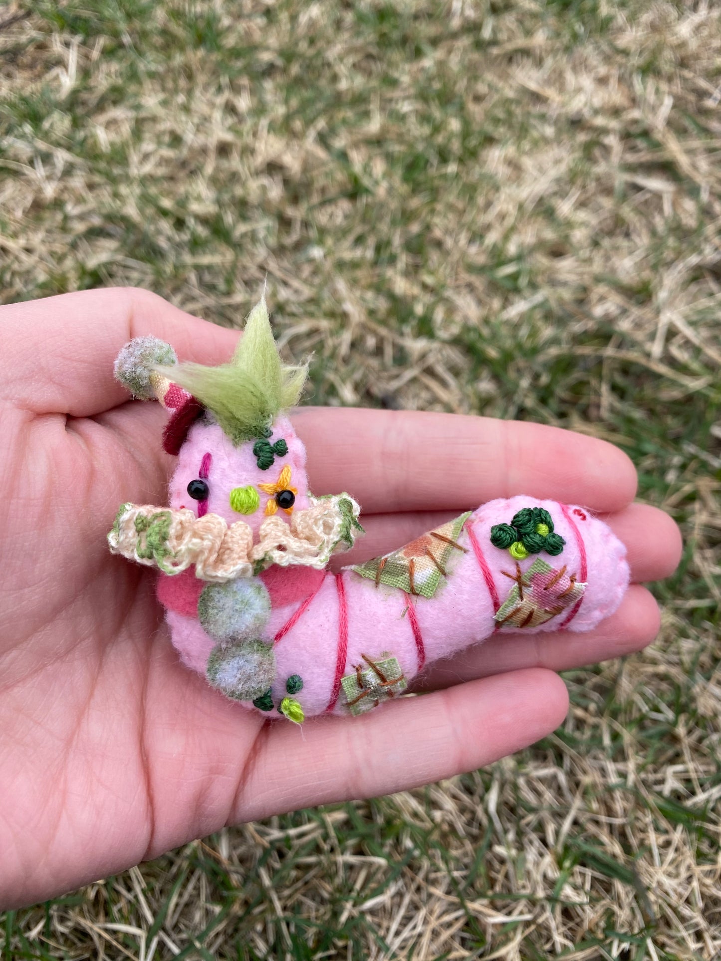 CLOWN WORM (Musty)