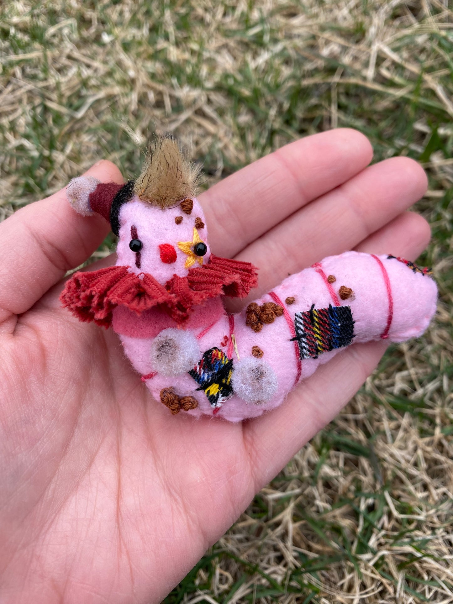 CLOWN WORM (Crusty)