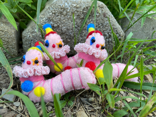 *mystery* CLOWN WORM (primary)