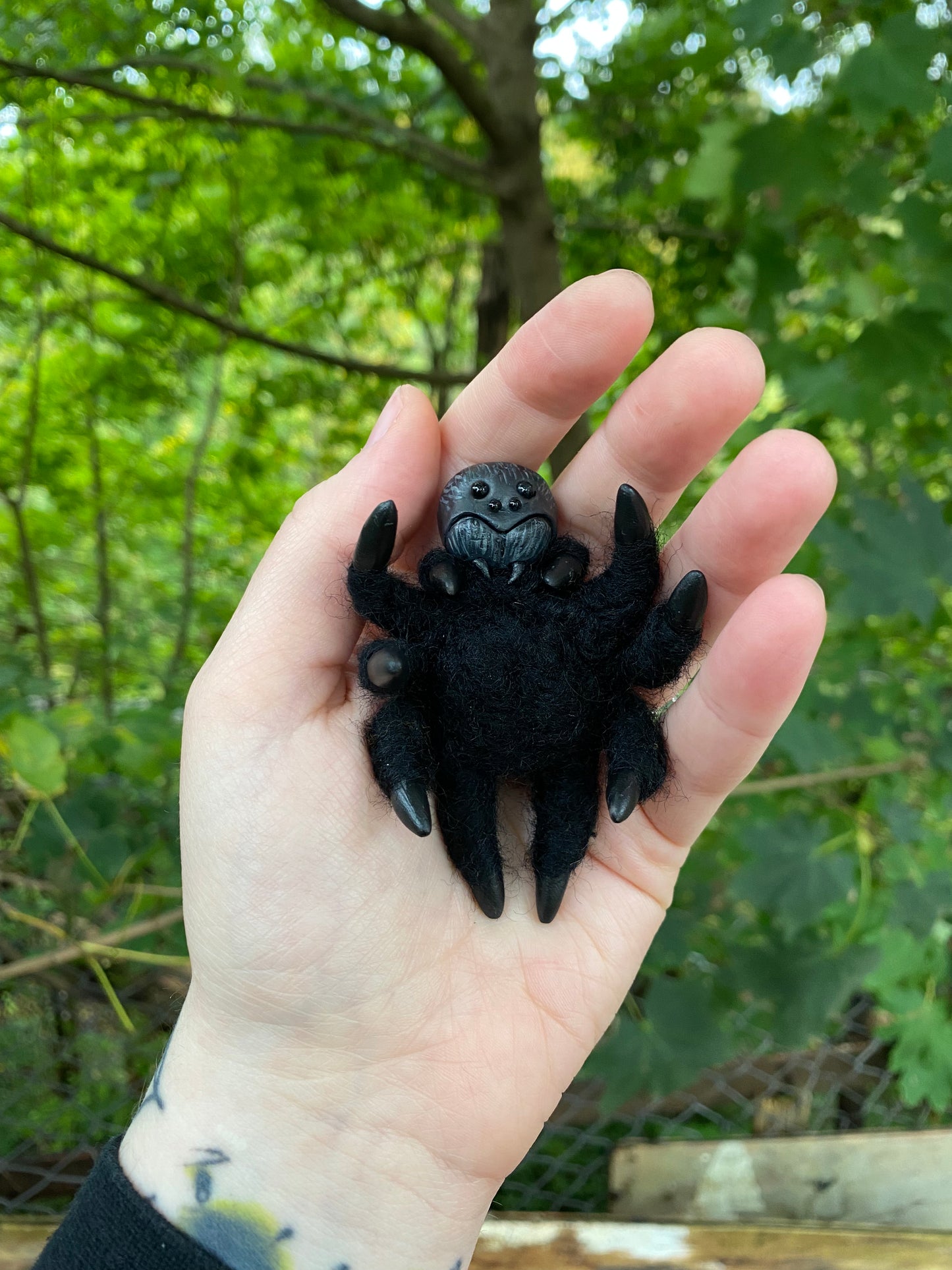 SPIDER COFFIN (velvet spier)