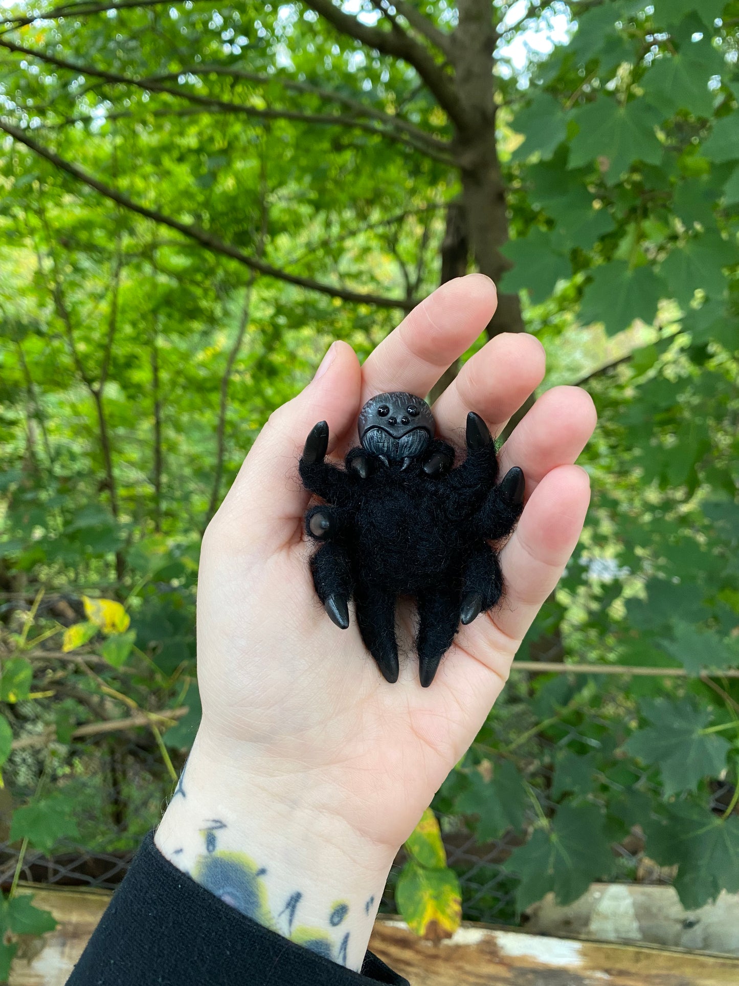 SPIDER COFFIN (velvet spier)