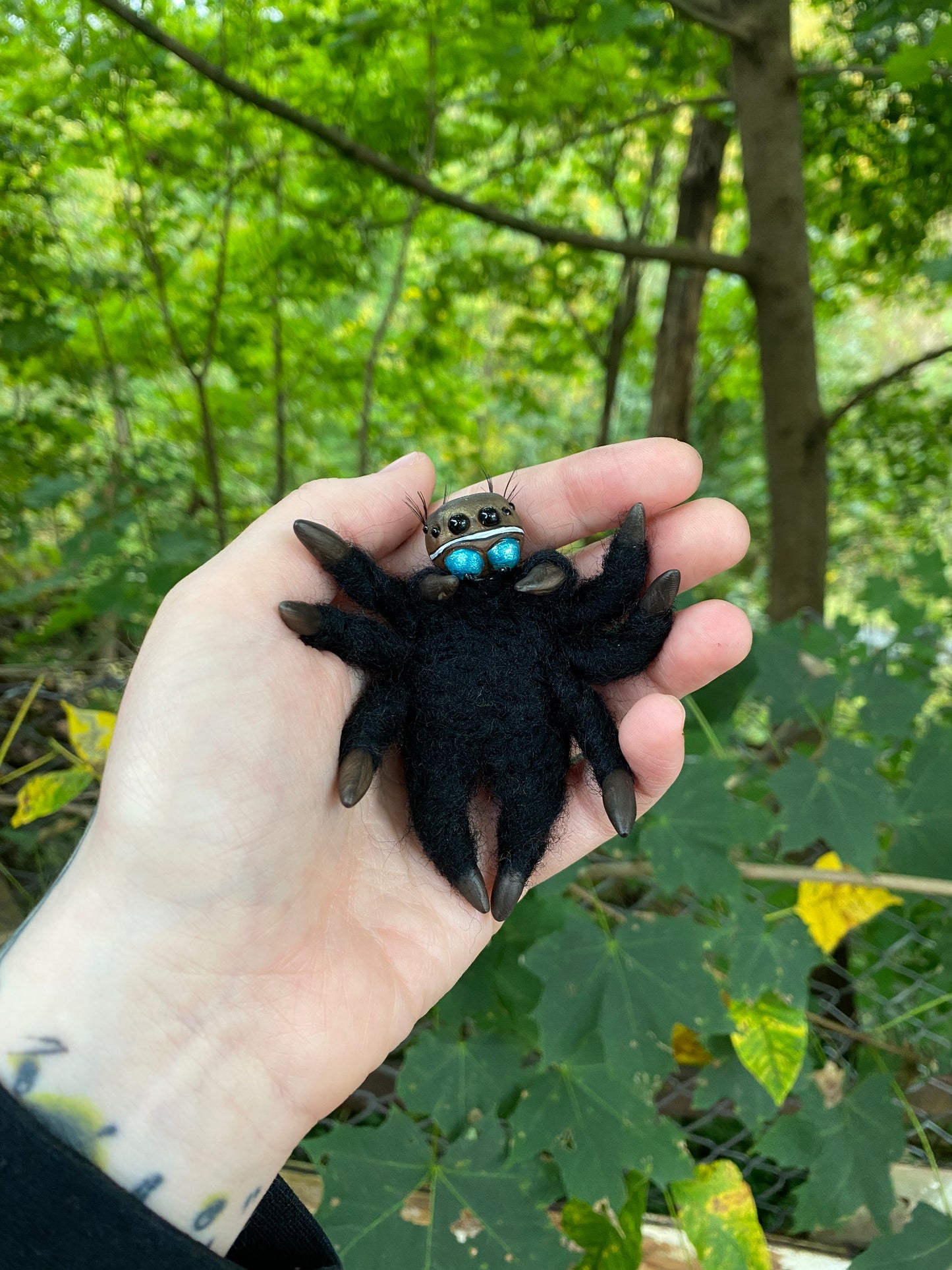 SPIDER COFFIN (jumping spider)