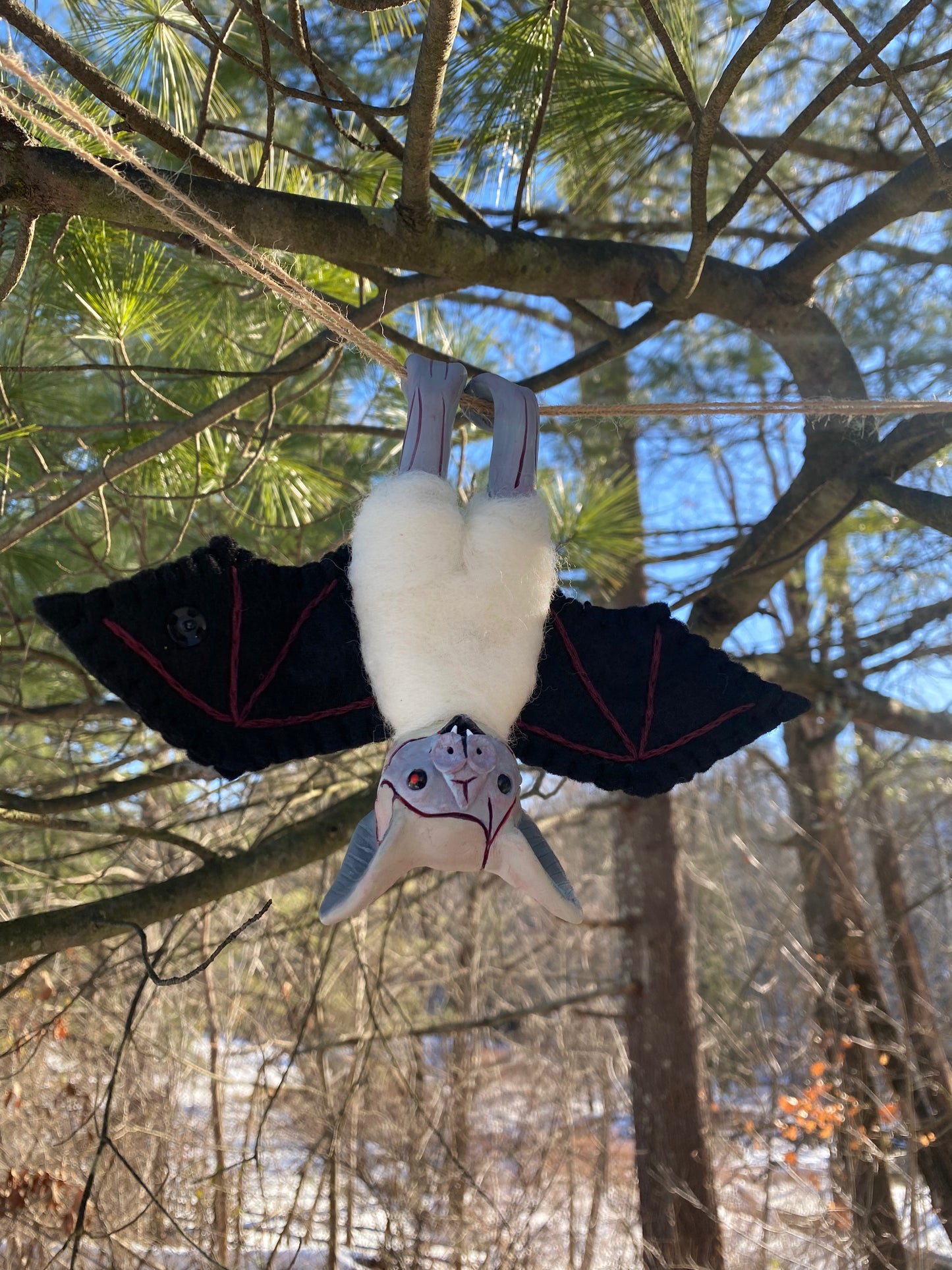 LARGE CREATURE HANGING BAT